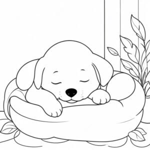 Puppy’s Quiet Corner