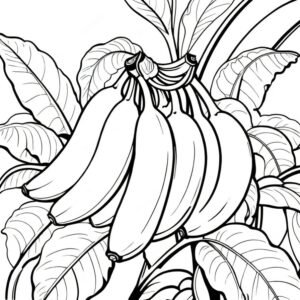 Banana Bunch’s Tropical Vibe
