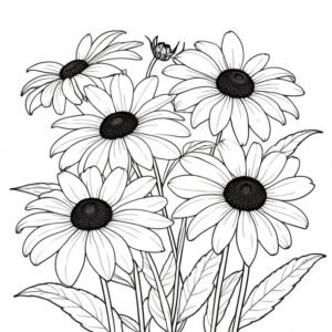 Black-Eyed Susan’s Charm