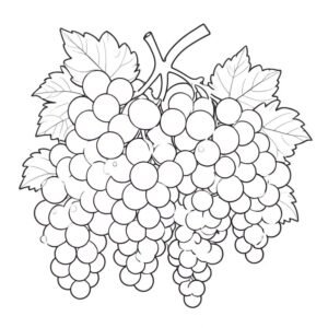 Cluster Of Grapes