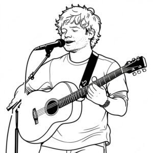 Ed Sheeran Concert Spotlight