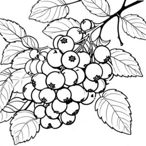 Elderberry Elegance
