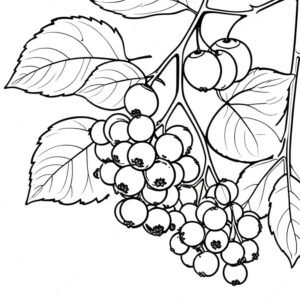 Elderberry Elegance