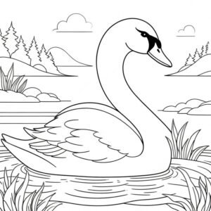 Elegant Swan Swimming