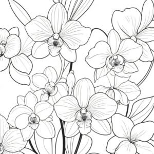 Orchids’ Elegance