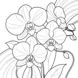 Orchids’ Elegance