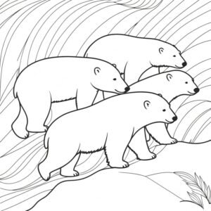 Polar Bear Migration