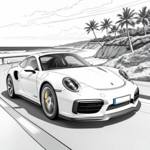 Porsche 911 Turbo Coastal Cruise